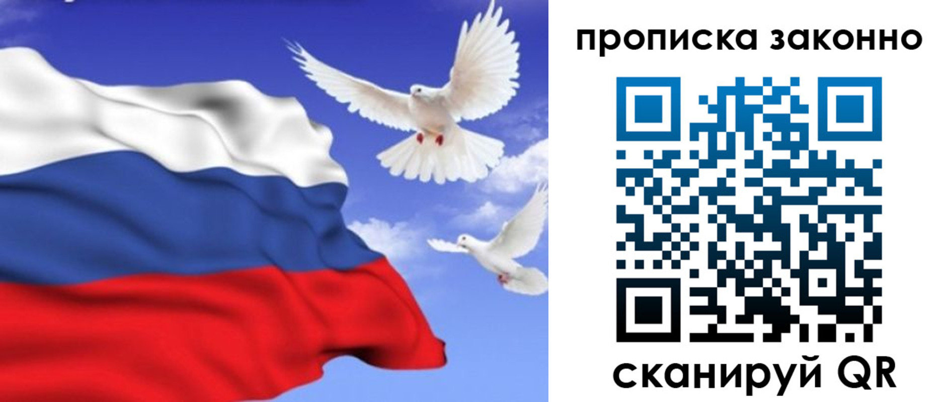 прописка в Владимирской области