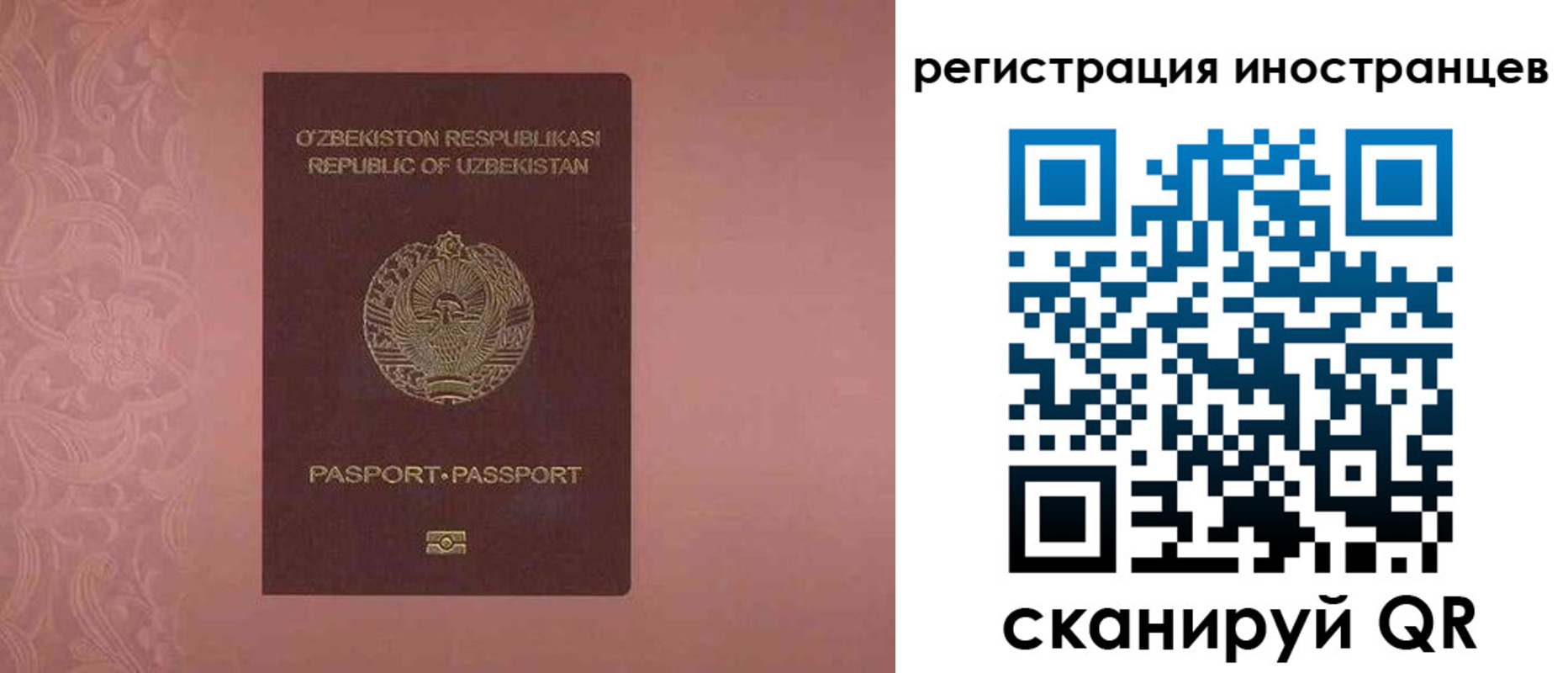 временная регистрация госуслуги в Владимирской области